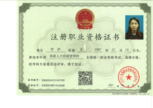 高级人力资源管理师